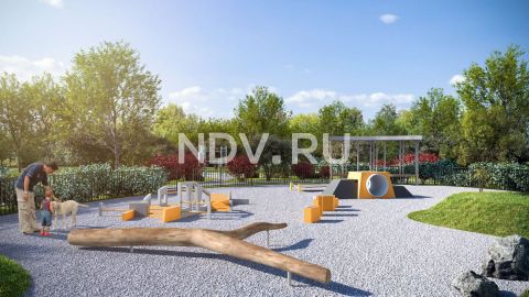 Dog friendly: как лояльная среда для животных меняет человеческое комьюнити